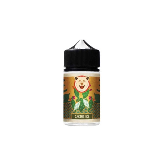 Longfill Hana 10ml Cactus Ice -zdjęcie numer 1