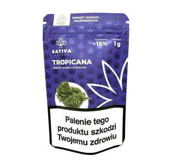 Susz CBD Sativa 1G Tropicana