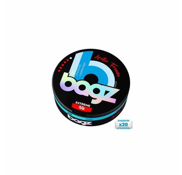 Woreczki Nikotynowe BAGZ 5/6 Arctic Freeze