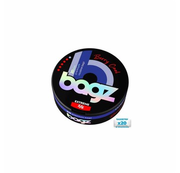 Woreczki Nikotynowe BAGZ 5/6 Berry Cool