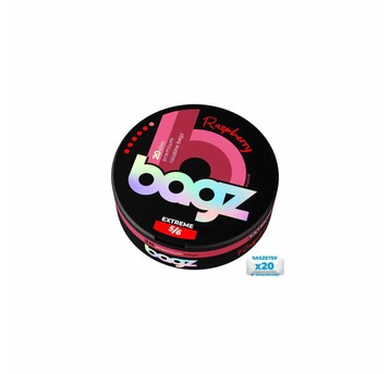 Woreczki Nikotynowe BAGZ 5/6 Raspberry