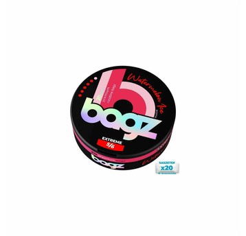 Woreczki Nikotynowe BAGZ 5/6 Watermelon Ice