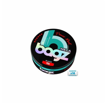 Woreczki Nikotynowe BAGZ 6/6 Power Mint