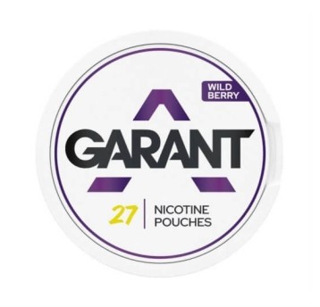 Woreczki Nikotynowe Garant Regular 25mg Wild Berry