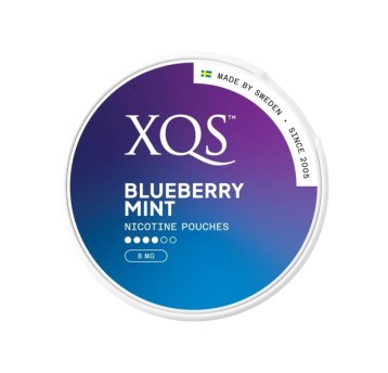 Woreczki Nikotynowe XQS Blueberry Mint 8mg